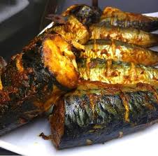 Grilled Titus Fish 